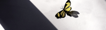 retiros y talleres mindfulness, clinica de psicologia integrativa cuenca , tienda online productos bienestar