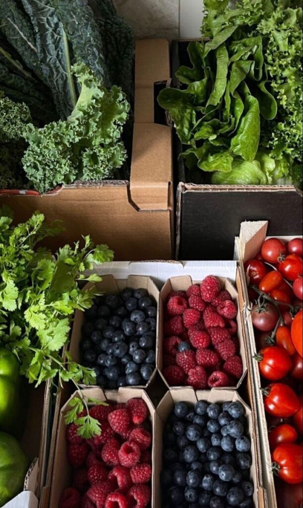 Mindful eating y autocuidado