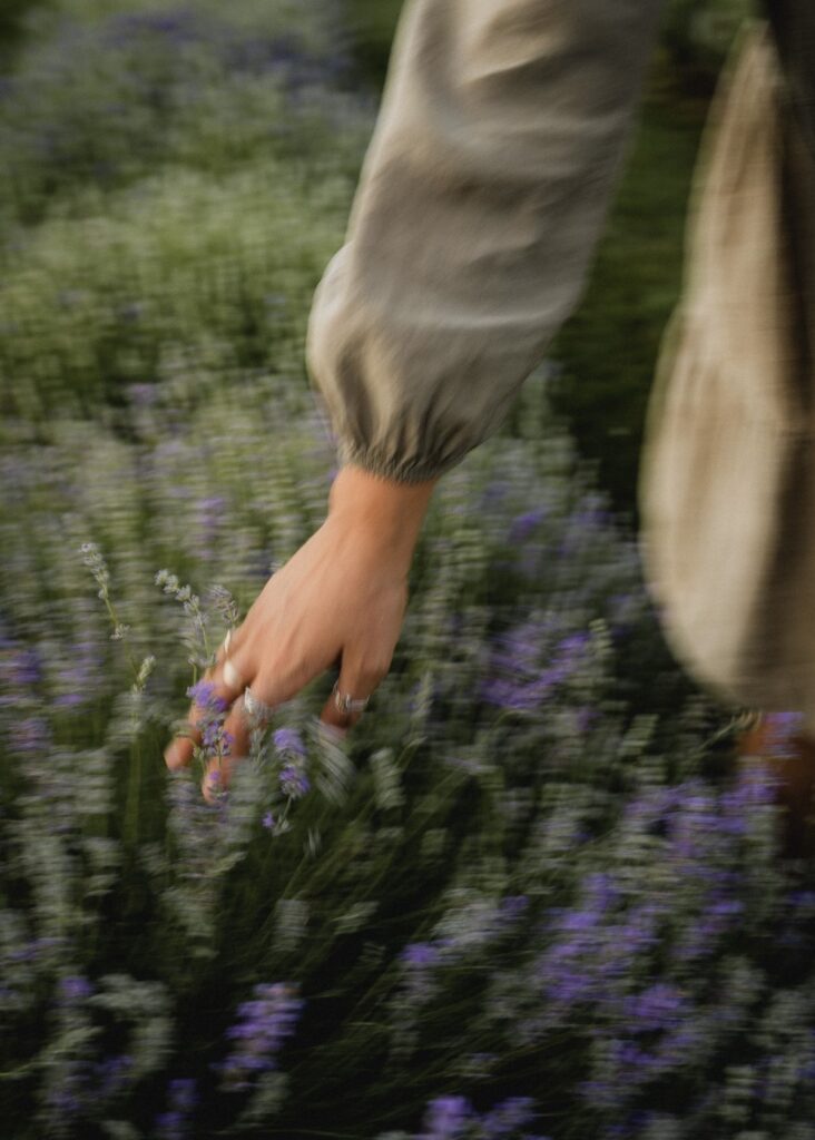 aceite esencial lavanda ecologica